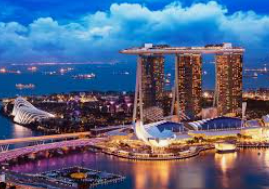 im电竞APP下载客户端